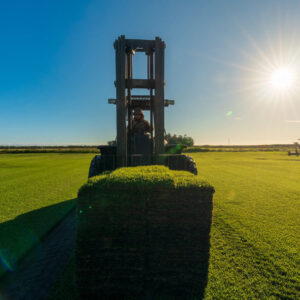 Wholesale Bermuda Sod | Full Truckload (18 Pallets)