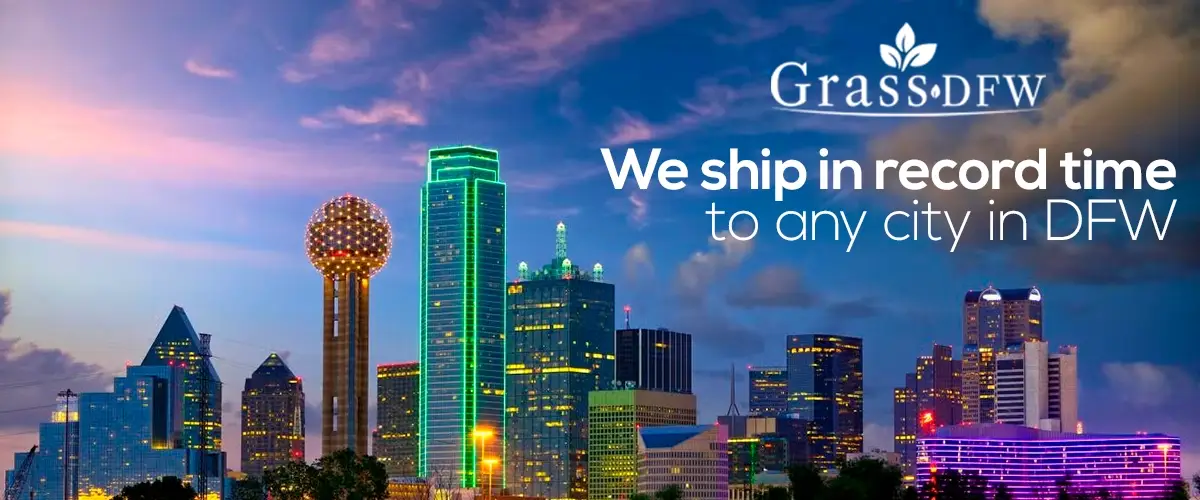 Professional Sod Installation Dallas
