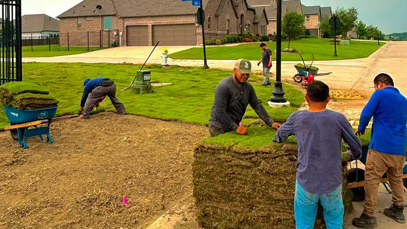 Grass DFW crew members laying rolls of sod from a pallet in front of a brick home