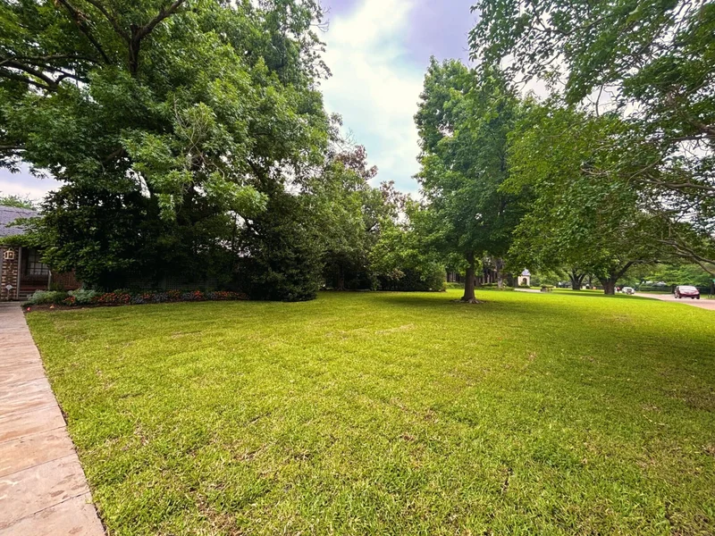 A wide front lawn laid by Grass DFW, fully rooted under mature trees