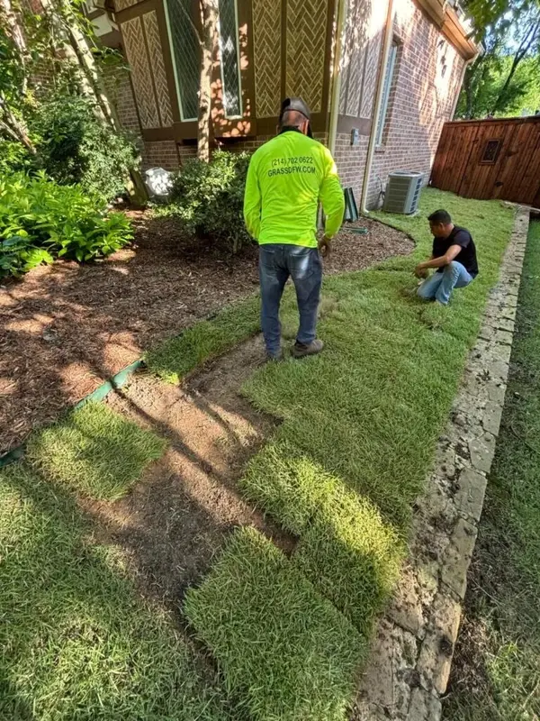 Two Grass DFW installers laying fresh sod along a flower bed