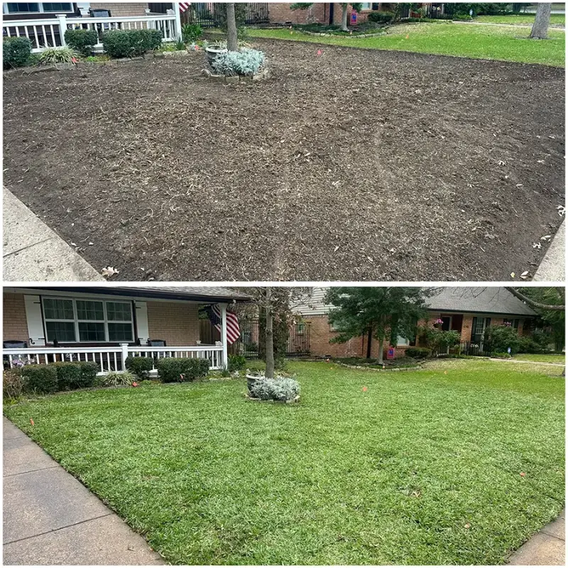 A front yard before and after Grass DFW laid new sod