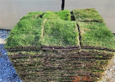 A pallet of fresh-cut sod, ready for delivery