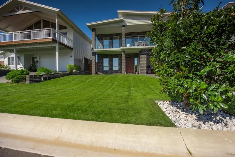 Zoysia Zeon sod, fresh-cut