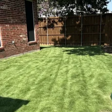 grass-dfw-06